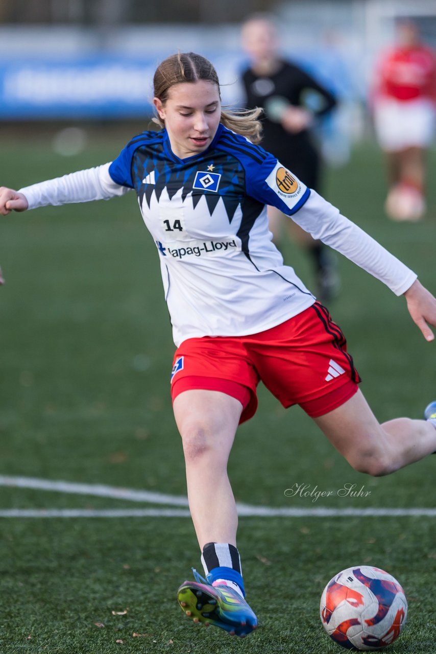 Bild 363 - wBJ Hamburger SV - Holstein Kiel : Ergebnis: 8:0